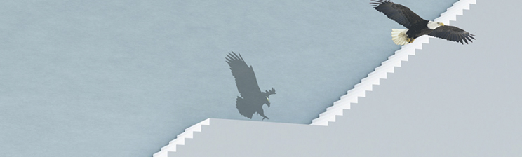 公海彩船6600(中国游)官方网站